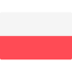 Polnisch flag